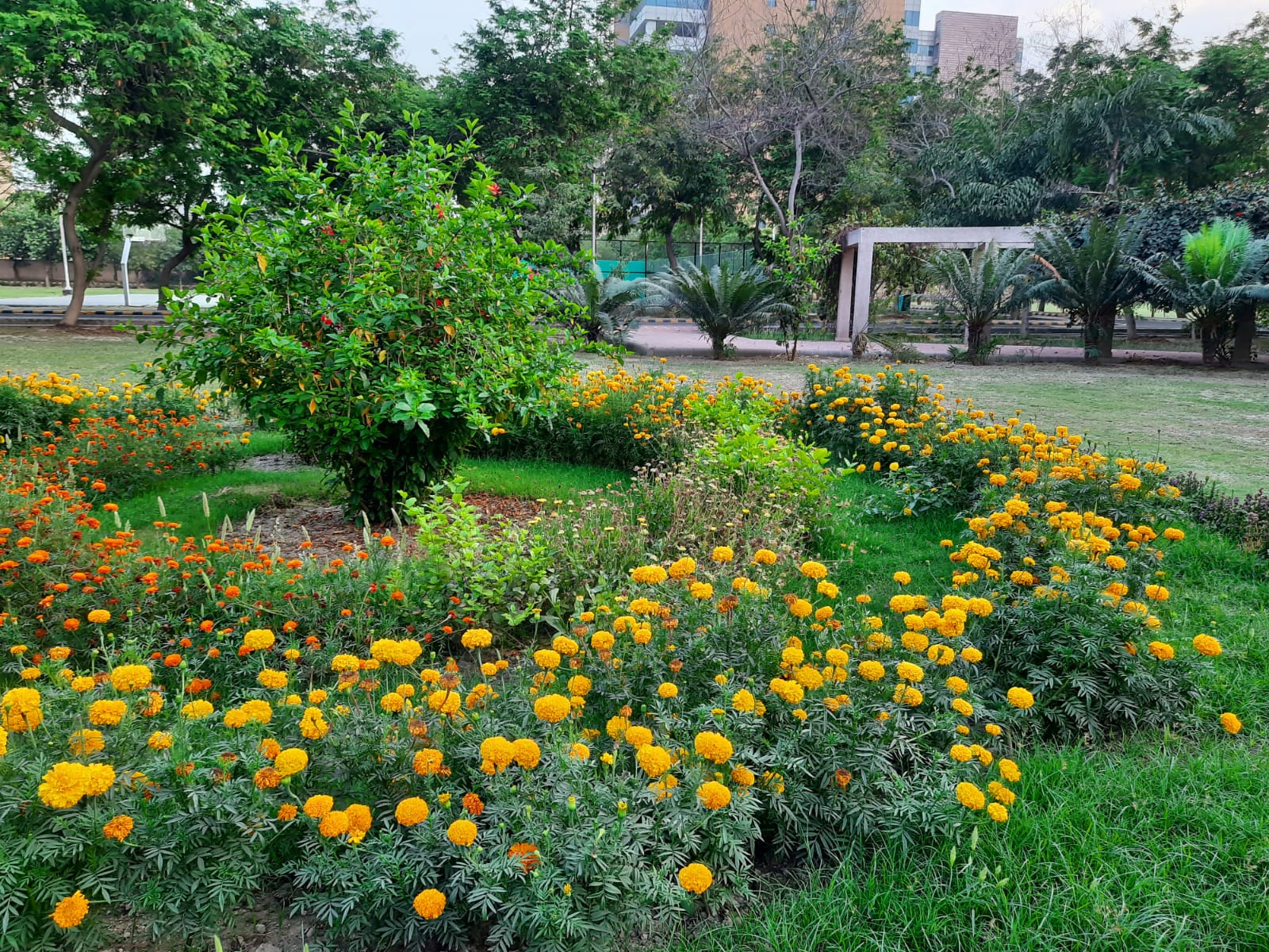 Landscaped campus grounds