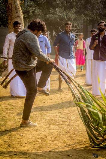 Pongal - 2019